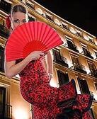 Flamenco Evening "Mi corazón"