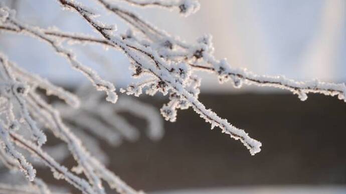 Winter in the City