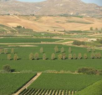 etna, italy, mediterranean, pleasure, sicily, volcano, wine