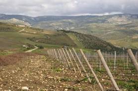 etna, italy, mediterranean, pleasure, sicily, volcano, wine