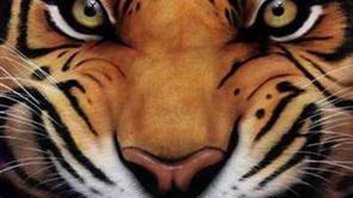 Sales Management Tiger 2011