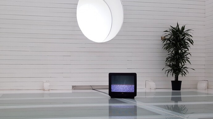 100 Days Without Television