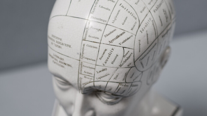Phrenology - or What Does Your Skull Tell About You?