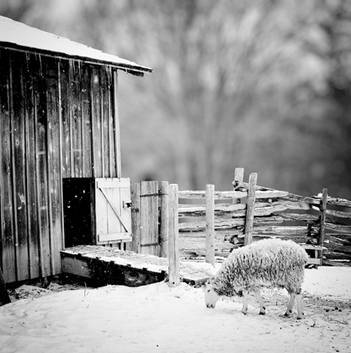 Christmas Beliefs and Omens