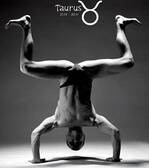 Man's Horoscope - Taurus (Apr 21 – May 21)