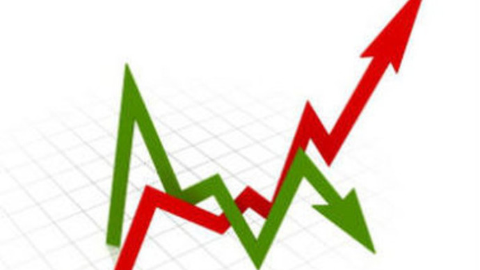 Micro or Non-Micro Company?