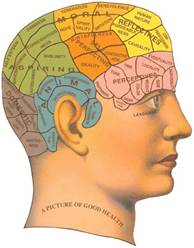 body, character, history, phrenology, science, spirit, theory