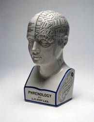 Phrenology or what your scull tells about you?