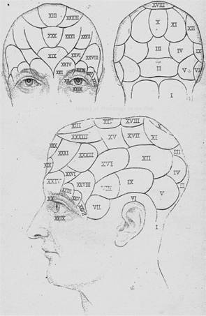 body, character, history, phrenology, science, spirit, theory