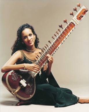 guitar, india, instrument, music, sitar