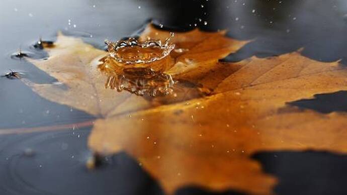Getting Through the Onset of Autumn