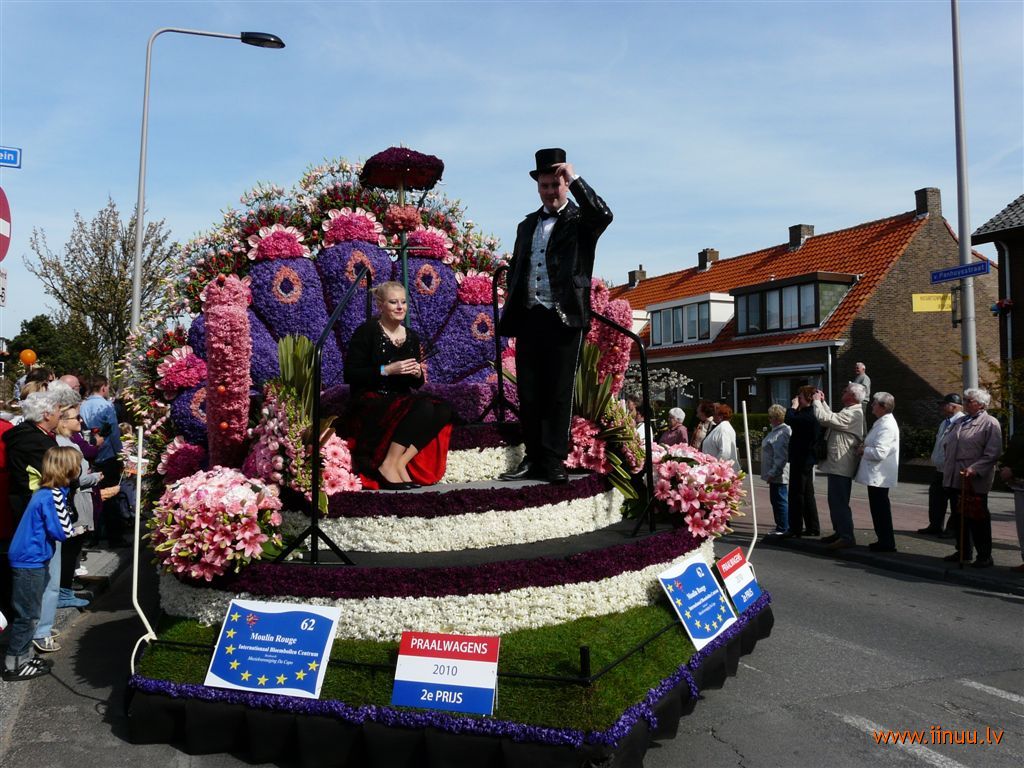 festival, flower, Holland, photo, tulip