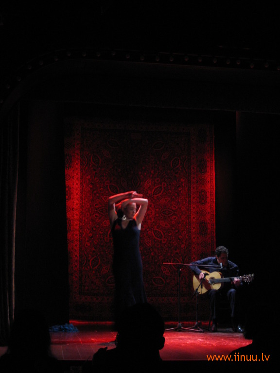 artel, concert, dance, duende, flamenco, performance, stage
