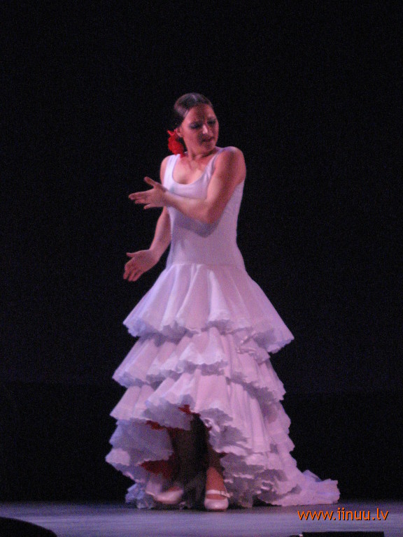 concert, dance, flamenco, performance, spain