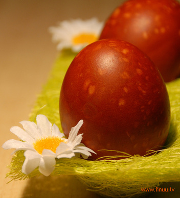 Egg Dyeing 2011