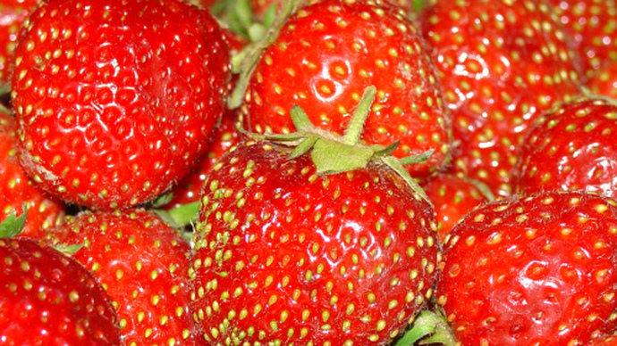 Strawberry Festival
