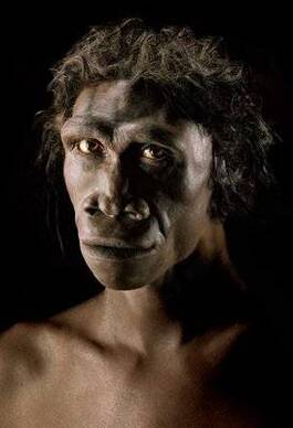Production - Homo Erectus