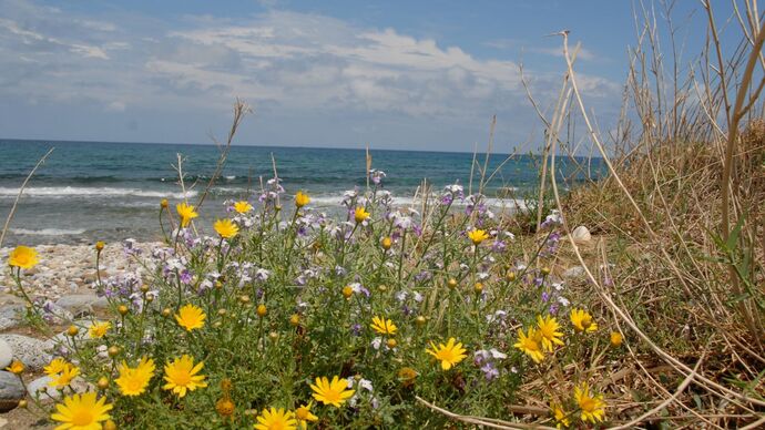 Crete - Greece's Blooming Island