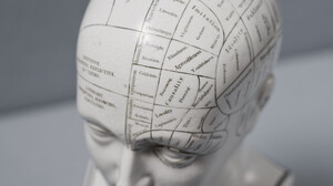 Phrenology - or What Does Your Skull Tell About You?