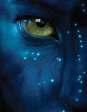 The Na'vi Language