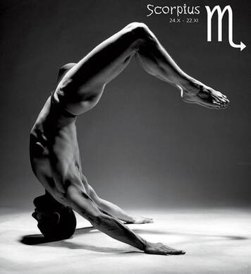 Man's Horoscope - Scorpio (Oct 24 – Nov 22)