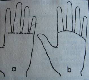 body, character, finger, hand, human, palm