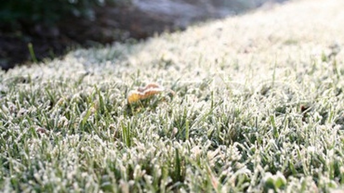 Autumn Poets - December - Ziemeļnieks