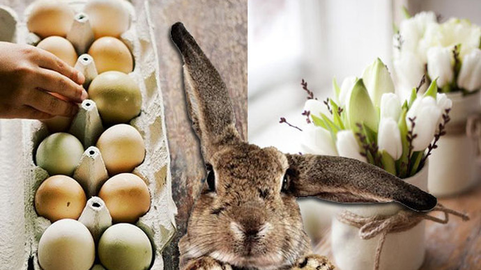 Where Did the Easter Bunny Come From?