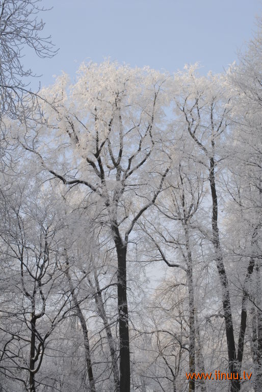 photo, Riga, winter
