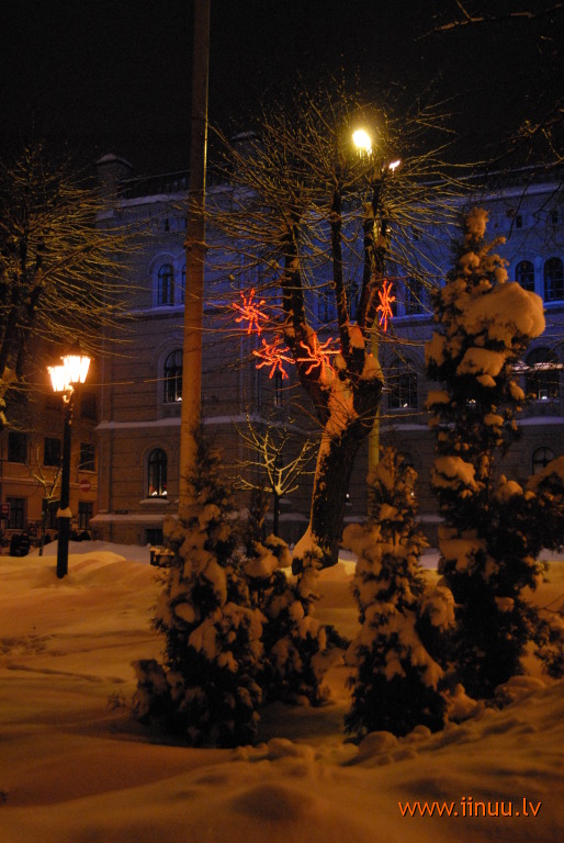 New Year, Old Town, photo, Riga, winter